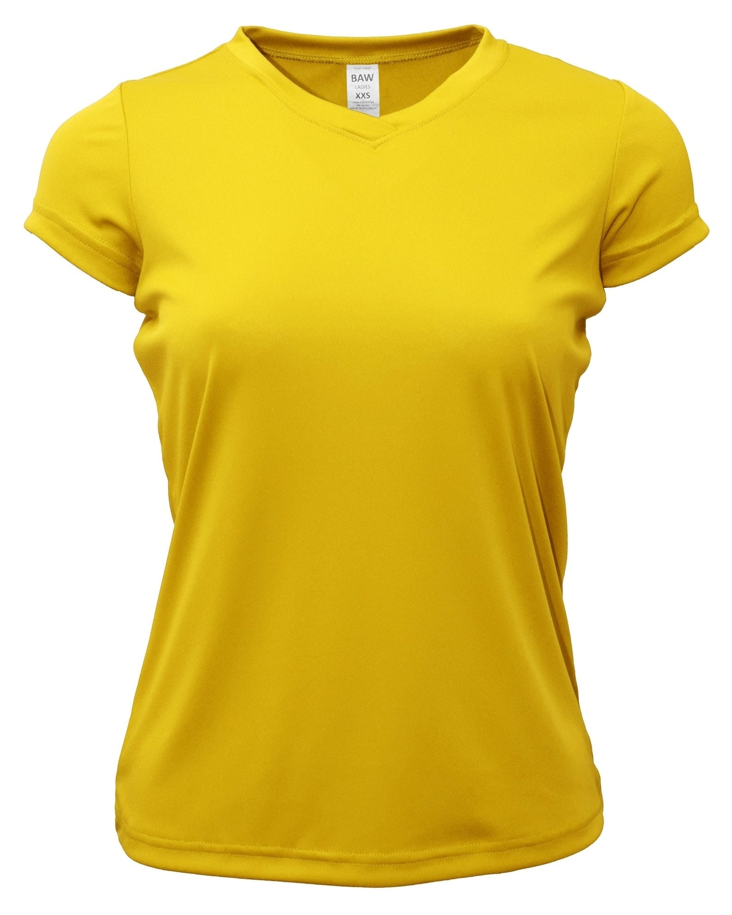 Performance Women's V-Neck T-Shirt